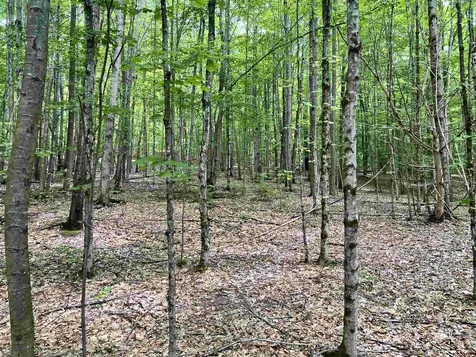 00 Greely Shunpike Road Hartford VT 05059