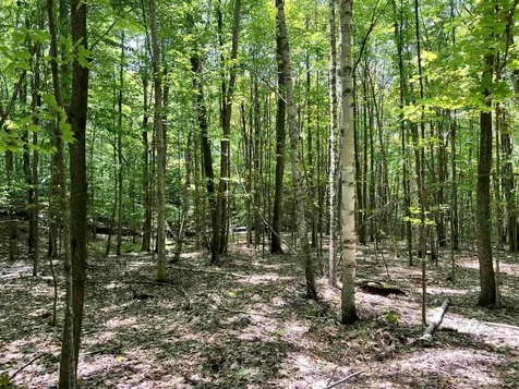 00 Greely Shunpike Road Hartford VT 05059