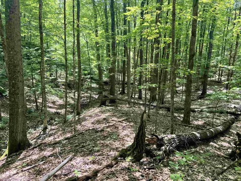 00 Greely Shunpike Road Hartford VT 05059