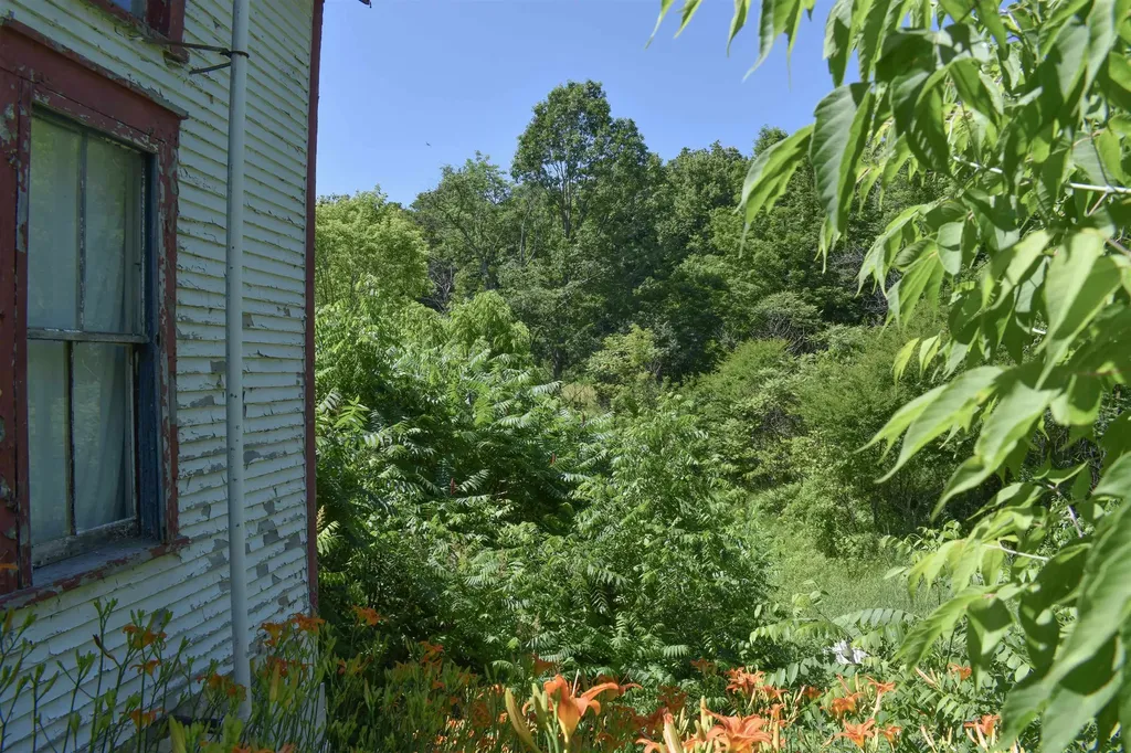 71 Maple Street Brandon VT 05733