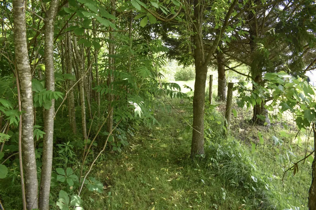 71 Maple Street Brandon VT 05733