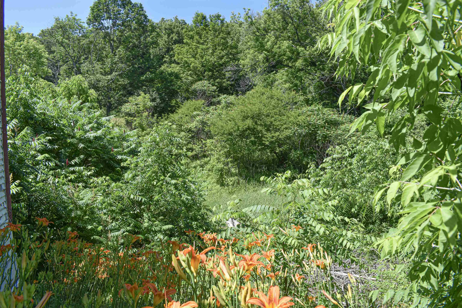 71 Maple Street Brandon VT 05733