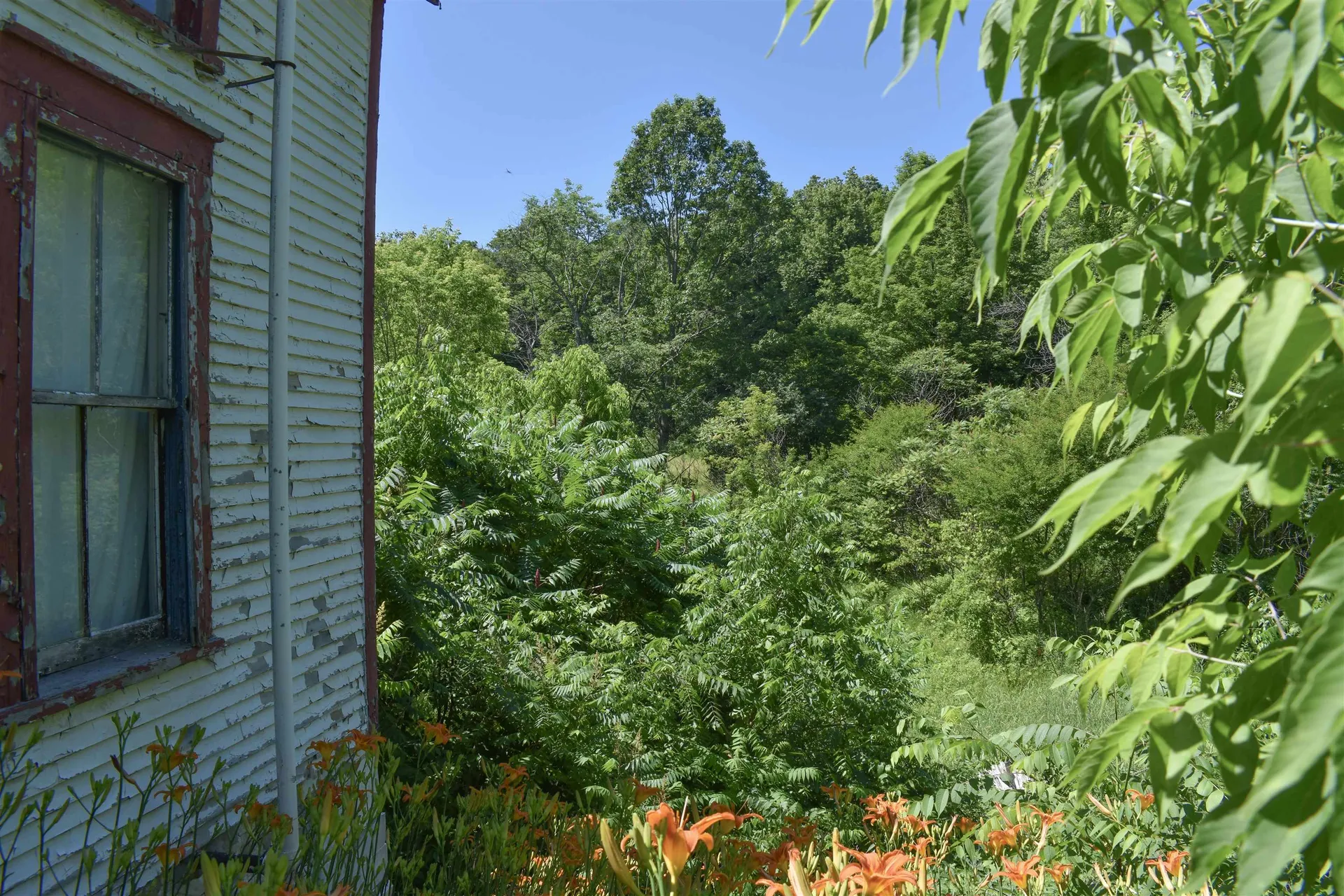 71 Maple Street Brandon VT 05733