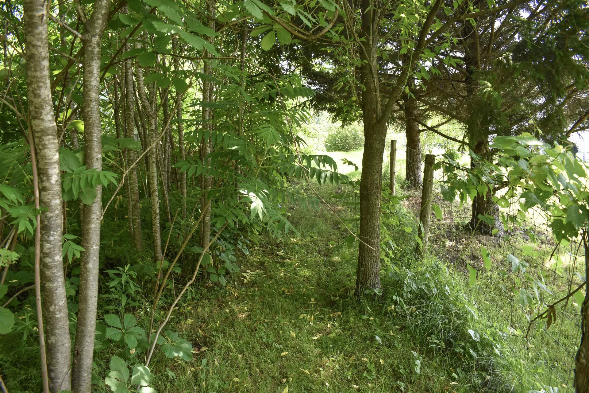 71 Maple Street Brandon VT 05733