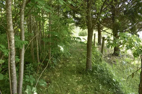 71 Maple Street Brandon VT 05733