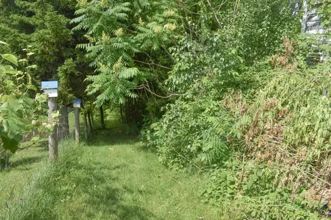 71 Maple Street Brandon VT 05733