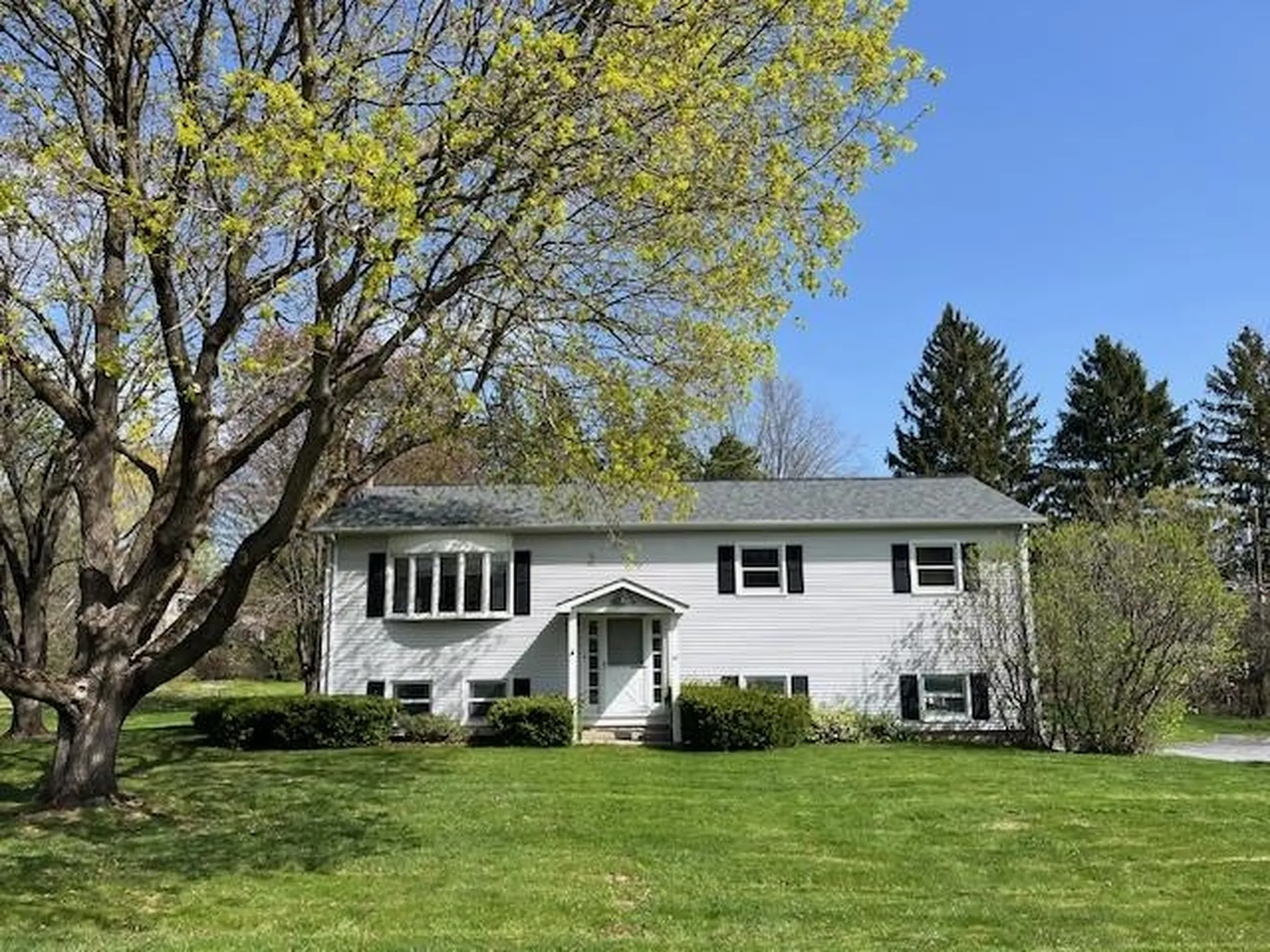 10 Gorham Lane Middlebury VT 05753