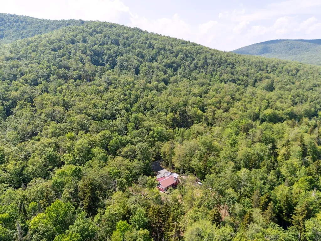 1838 Brown Schoolhouse Road Reading VT 05062