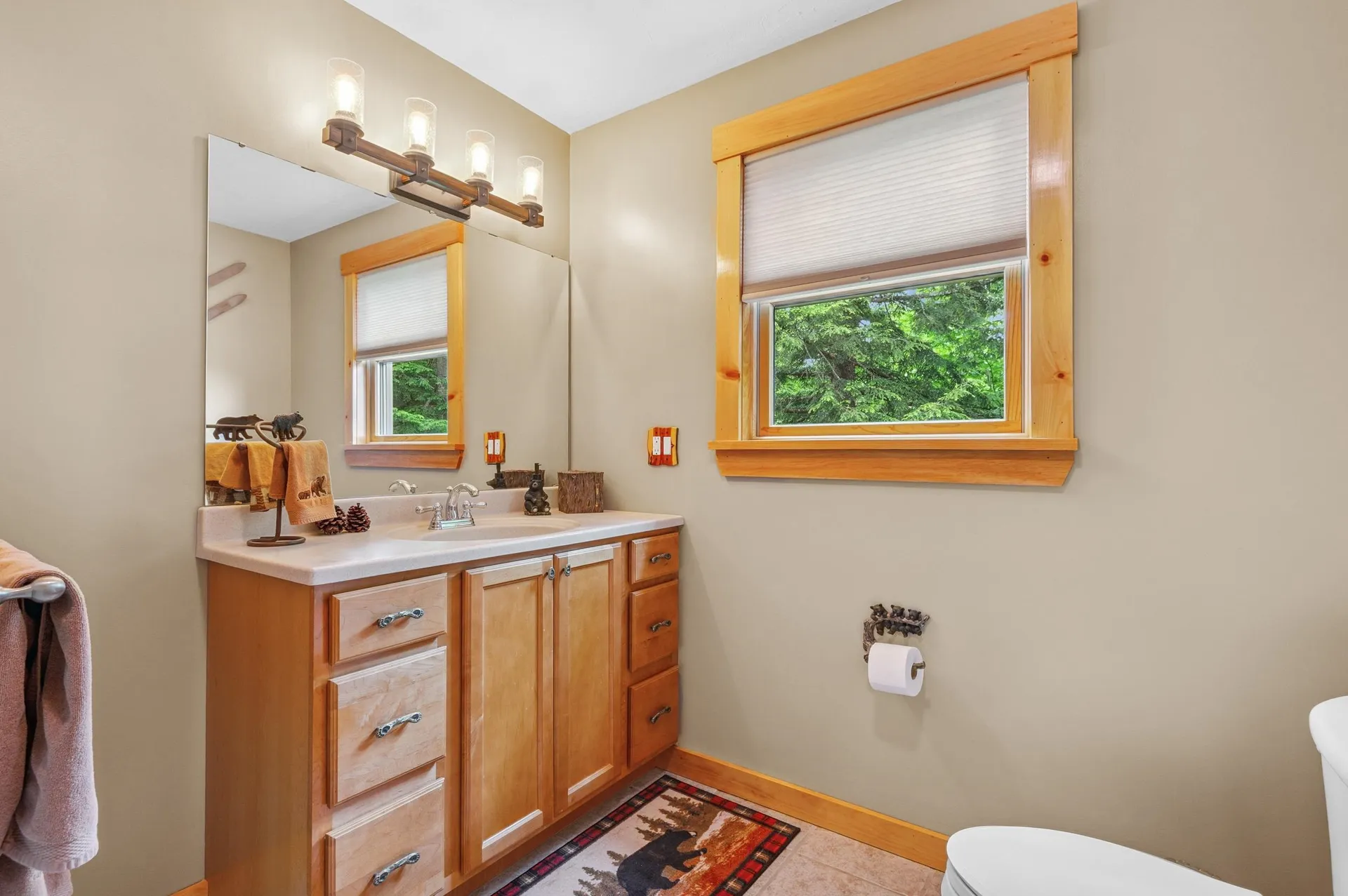53 Ammonoosuc Drive Bartlett NH 03812