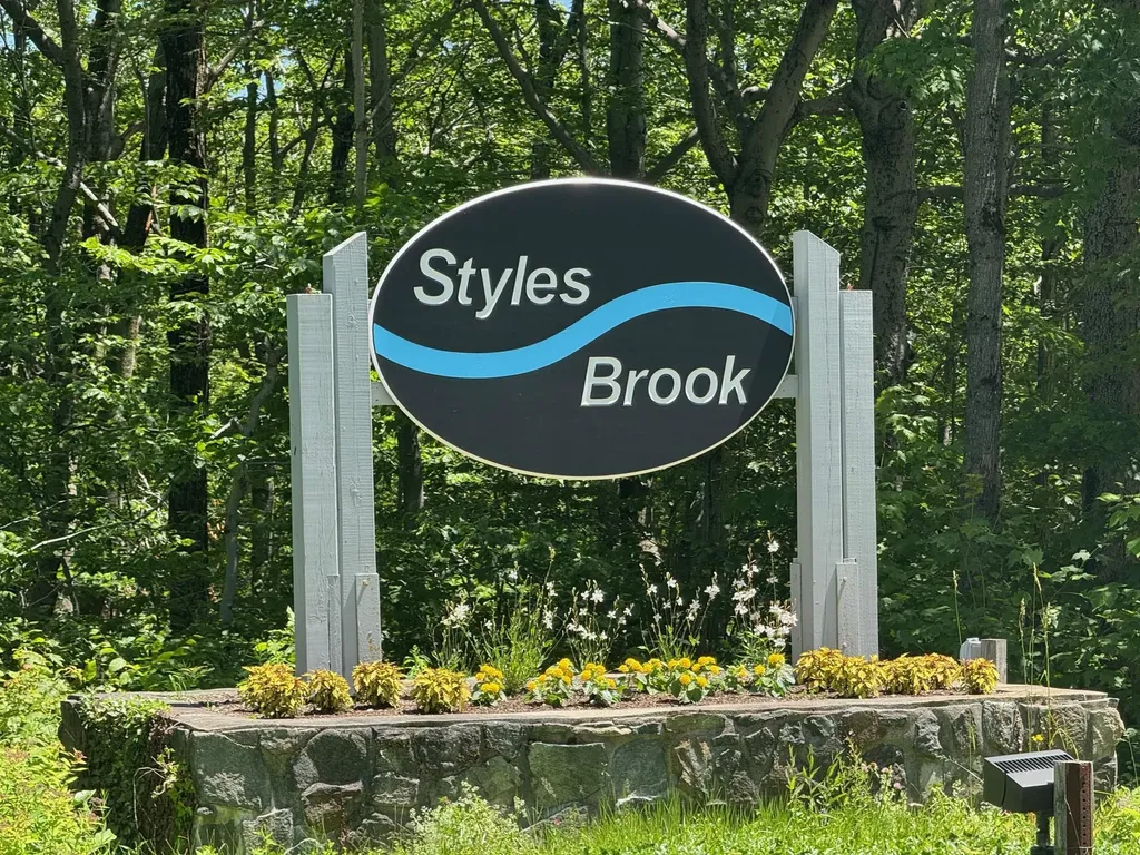 65 Styles Branch Road Stratton VT 05155
