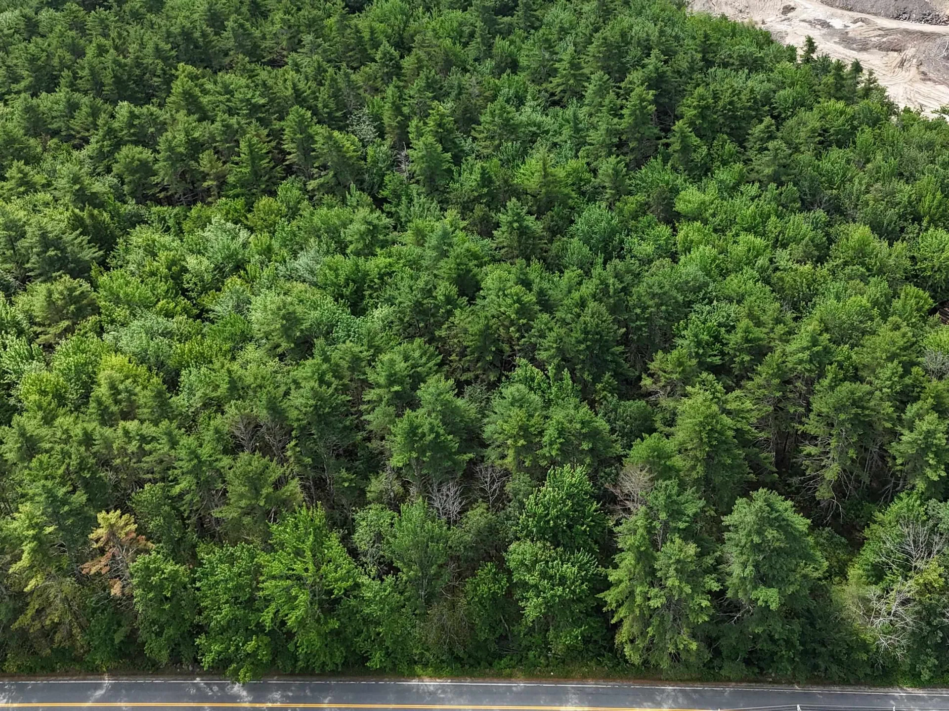 489 Route 153 Middleton NH 03887