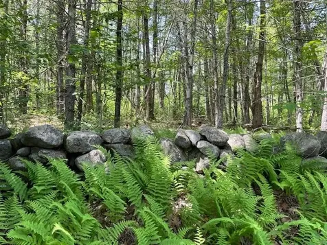 00 Gap Mountain Road Fitzwilliam NH 03447