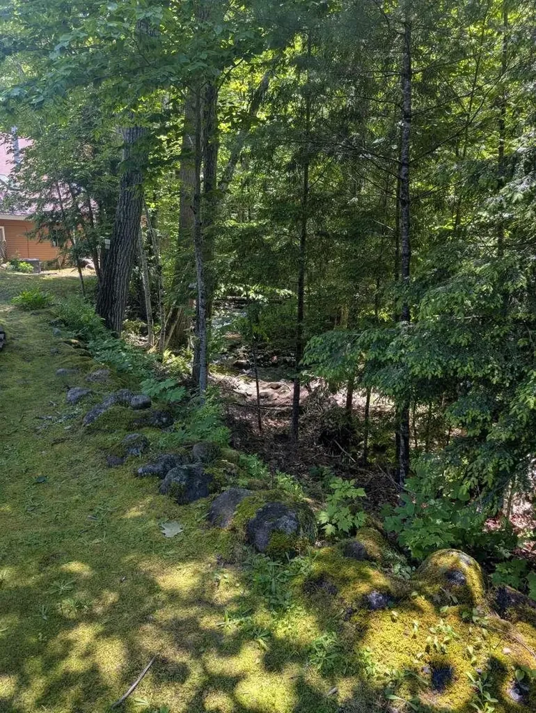 12 Streamside Road Campton NH 03223