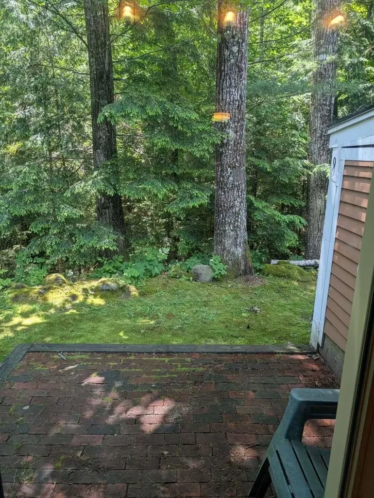 12 Streamside Road Campton NH 03223