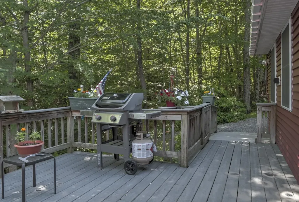 146 Anderson Road Stoddard NH 03464