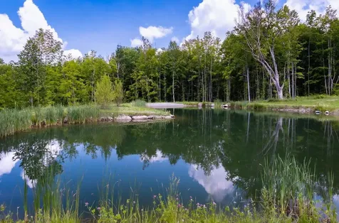 832 Lincoln Hill Road Hinesburg VT 05461-0000