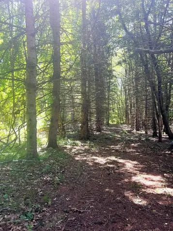 41 Amesbury Road Newton NH 03858