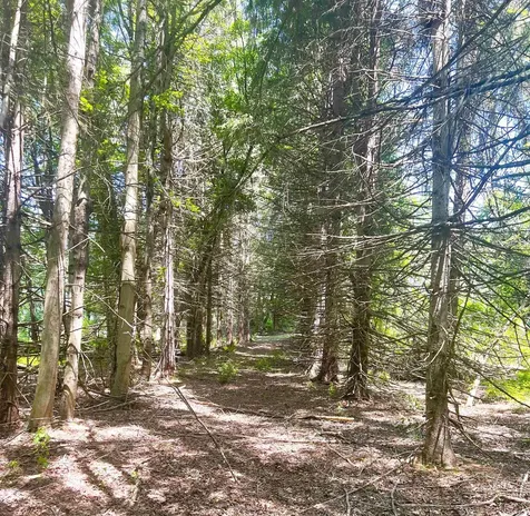 41 Amesbury Road Newton NH 03858