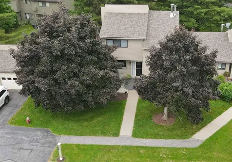 6 Charleston Green South Burlington VT 05403