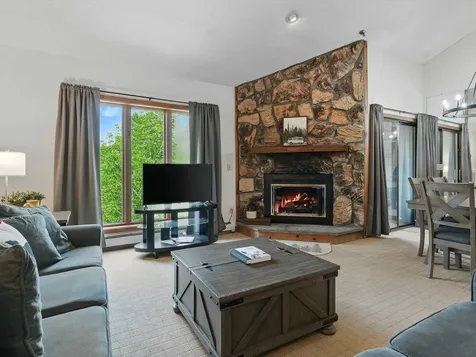 8 Ober Tal Drive Stratton VT 05155