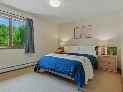 8 Ober Tal Drive Stratton VT 05155