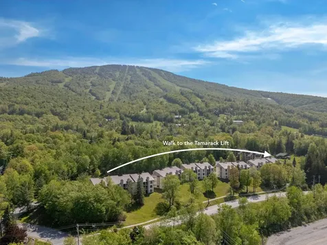 8 Ober Tal Drive Stratton VT 05155