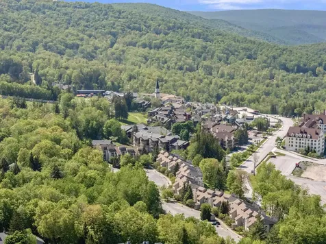 8 Ober Tal Drive Stratton VT 05155