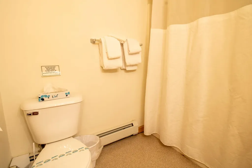 10 Jack O Lantern Drive Woodstock NH 03293