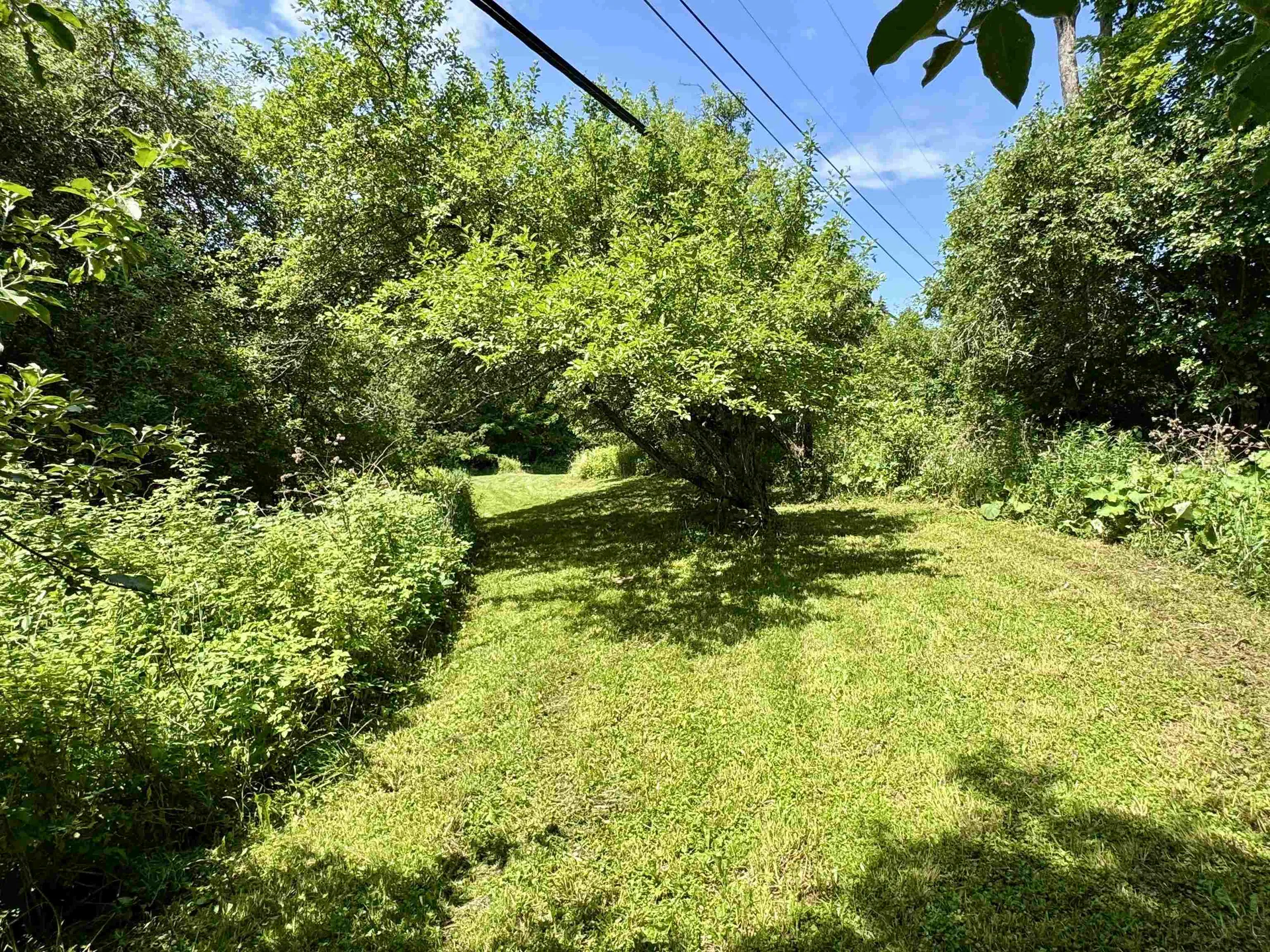 53 Sugarhouse Road Burke VT 05871