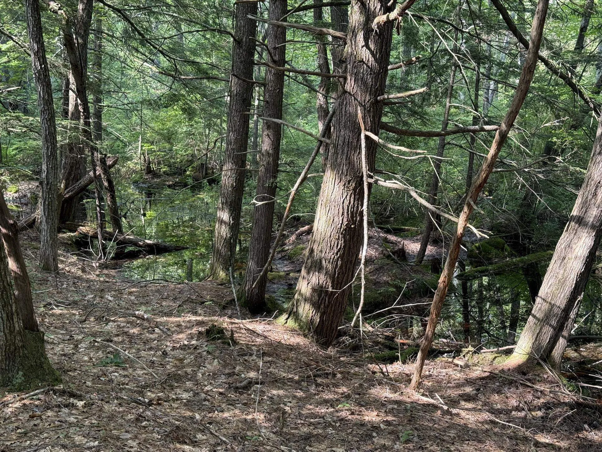 00 Hueber Drive Sanbornton NH 03269