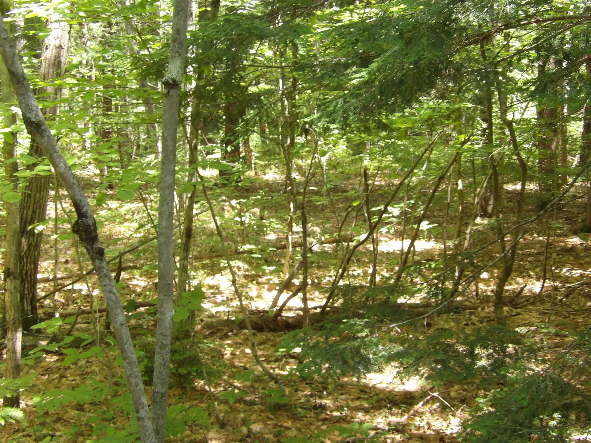 00 Hueber Drive Sanbornton NH 03269