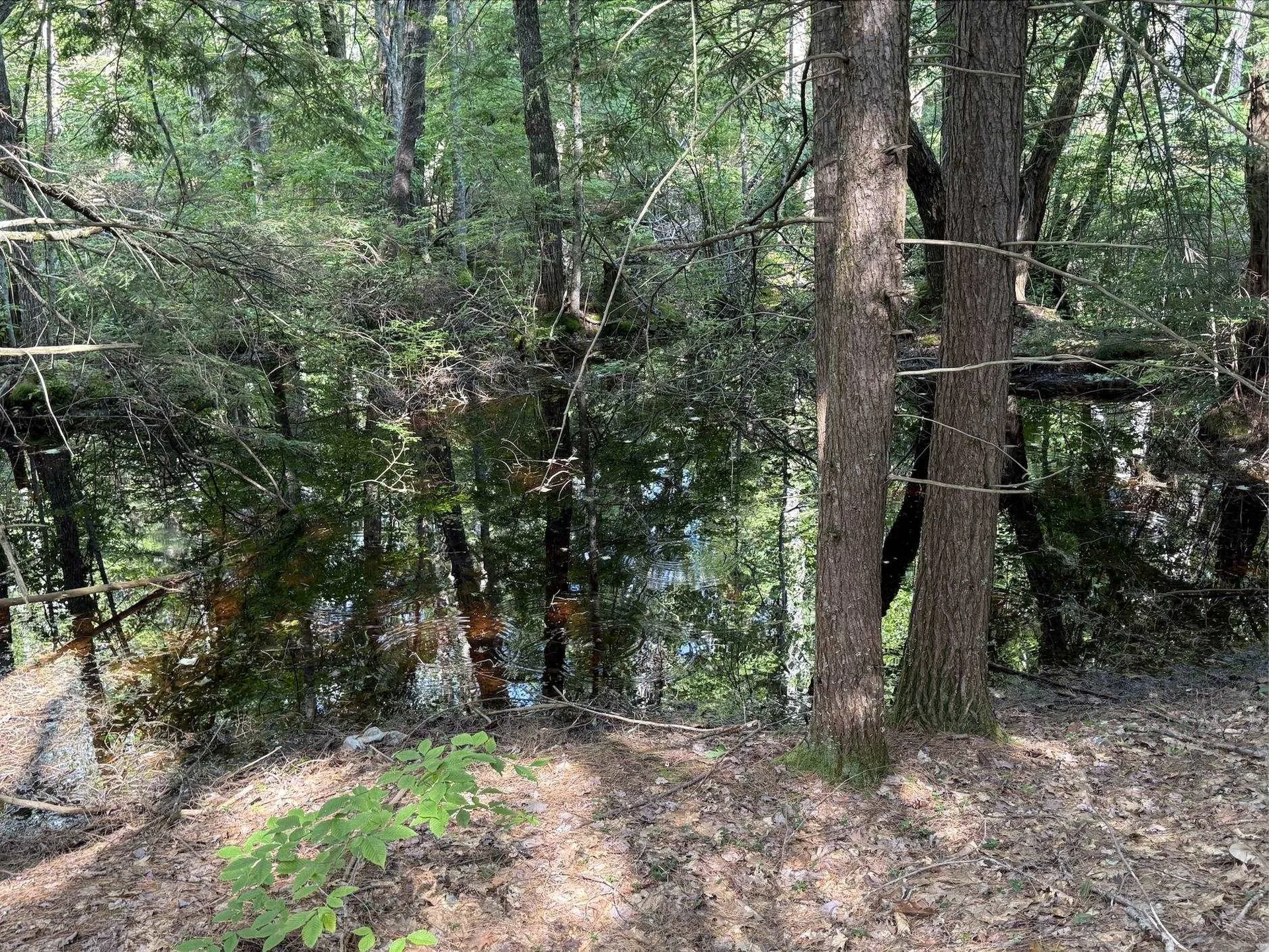 00 Hueber Drive Sanbornton NH 03269