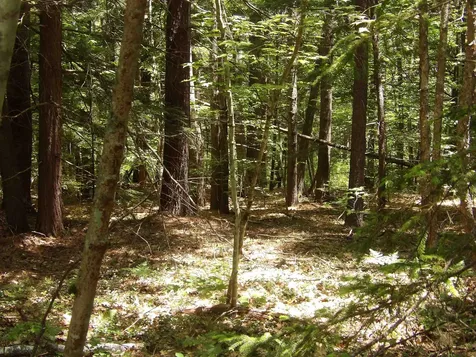 00 Hueber Drive Sanbornton NH 03269