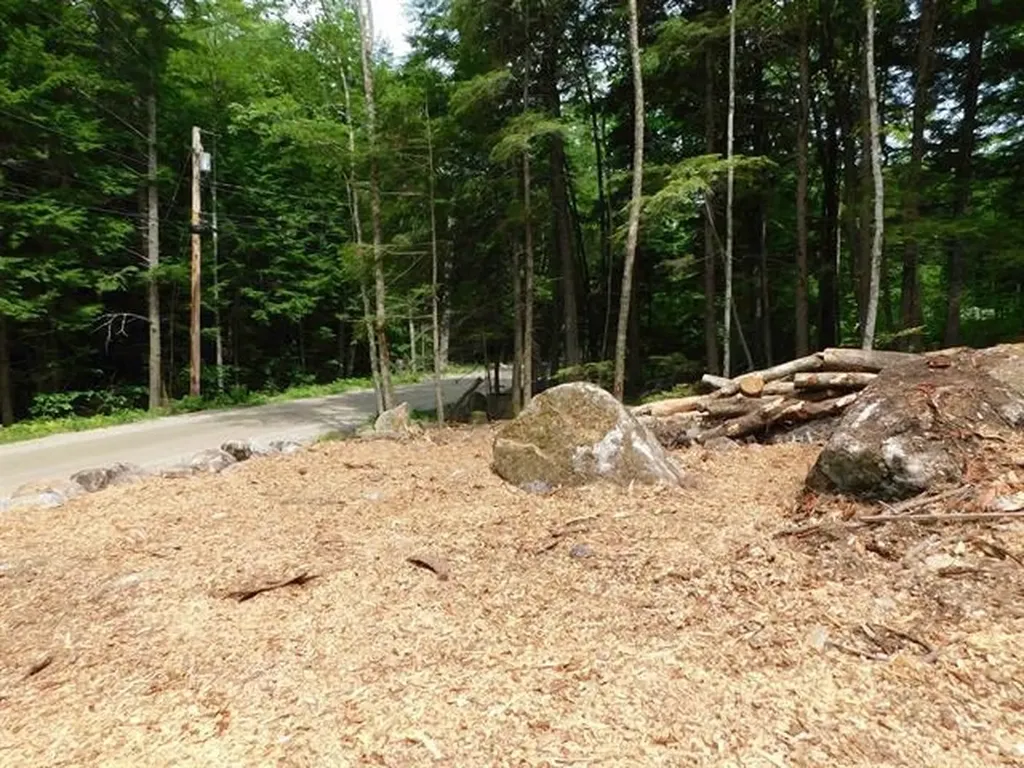 0 Bog Road Hillsborough NH 03244