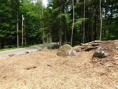 0 Bog Road Hillsborough NH 03244