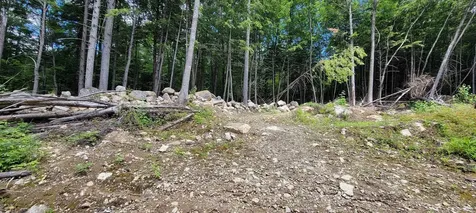 0 Bog Road Hillsborough NH 03244