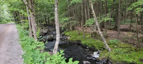 0 Bog Road Hillsborough NH 03244