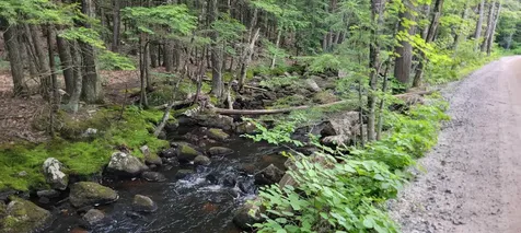 0 Bog Road Hillsborough NH 03244