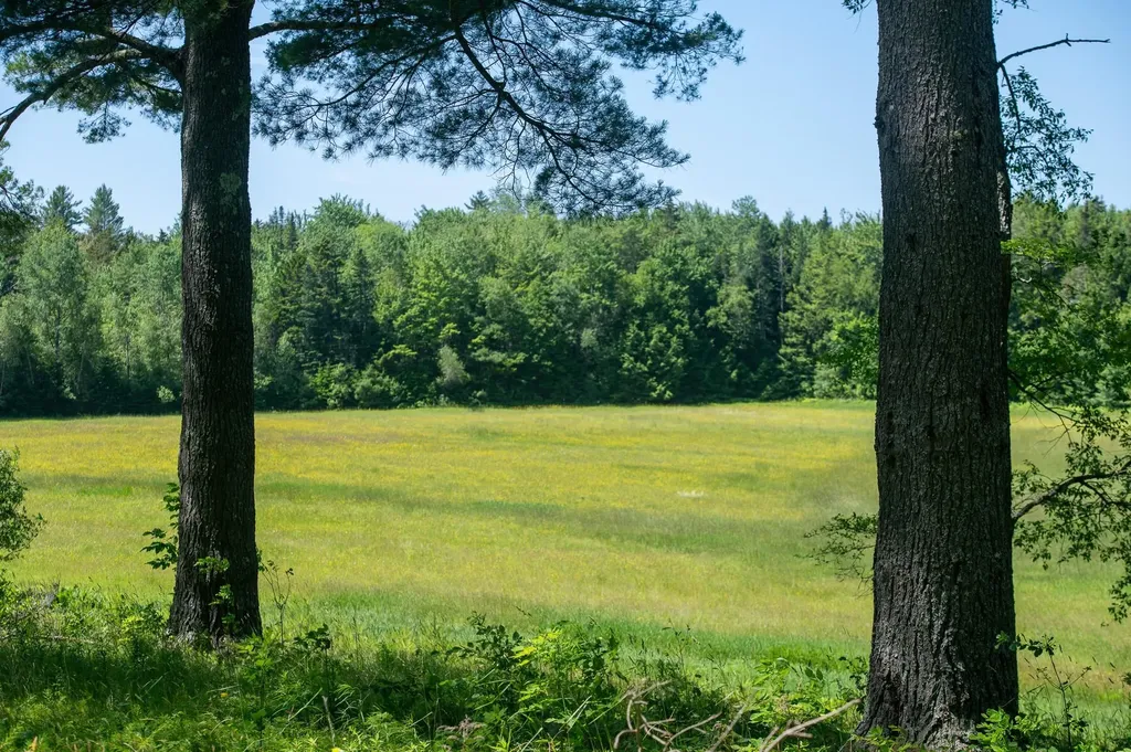 340 Melendy Hill Road Londonderry VT 05155