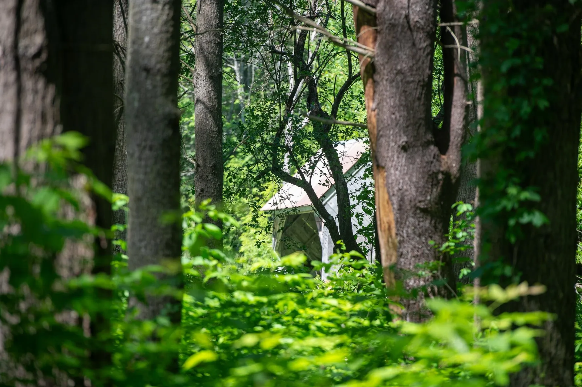 340 Melendy Hill Road Londonderry VT 05155