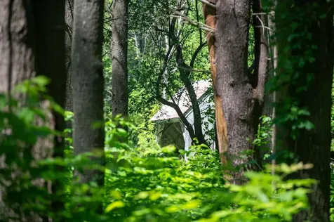 340 Melendy Hill Road Londonderry VT 05155