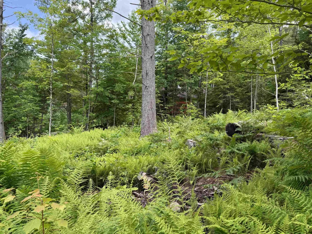 00 Walker Pit Road Concord VT 05906