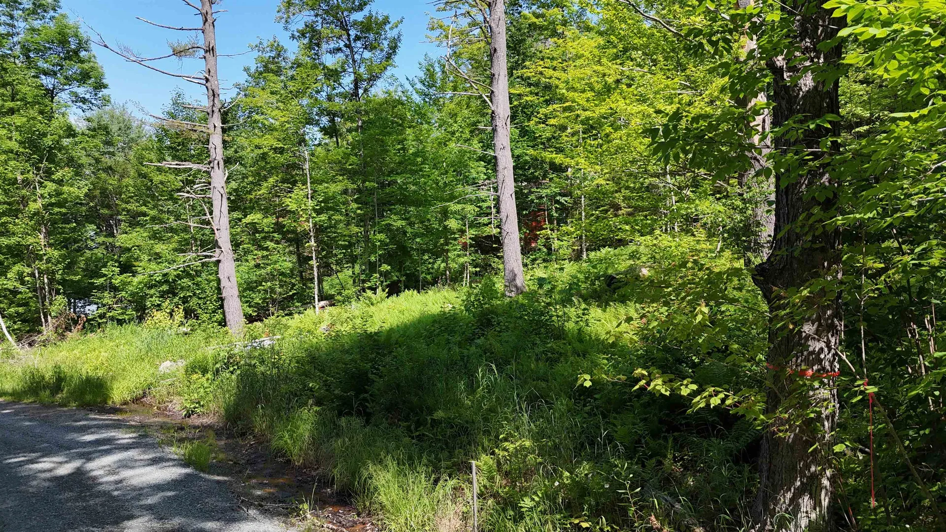 00 Walker Pit Road Concord VT 05906
