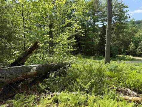 00 Walker Pit Road Concord VT 05906