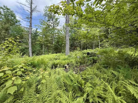 00 Walker Pit Road Concord VT 05906