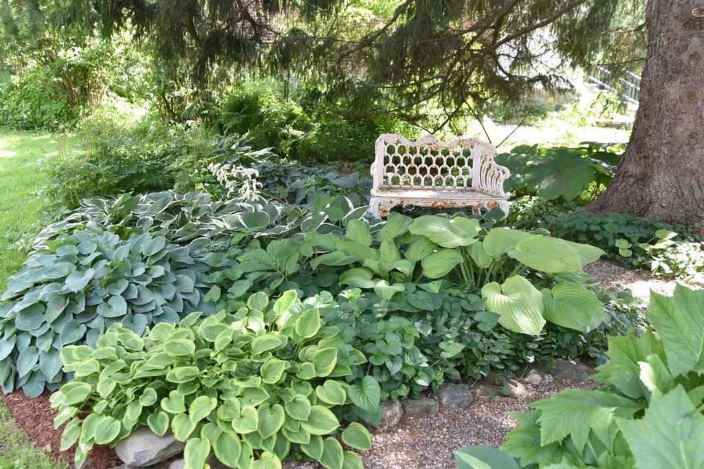 327 Browns Trace Jericho VT 05465