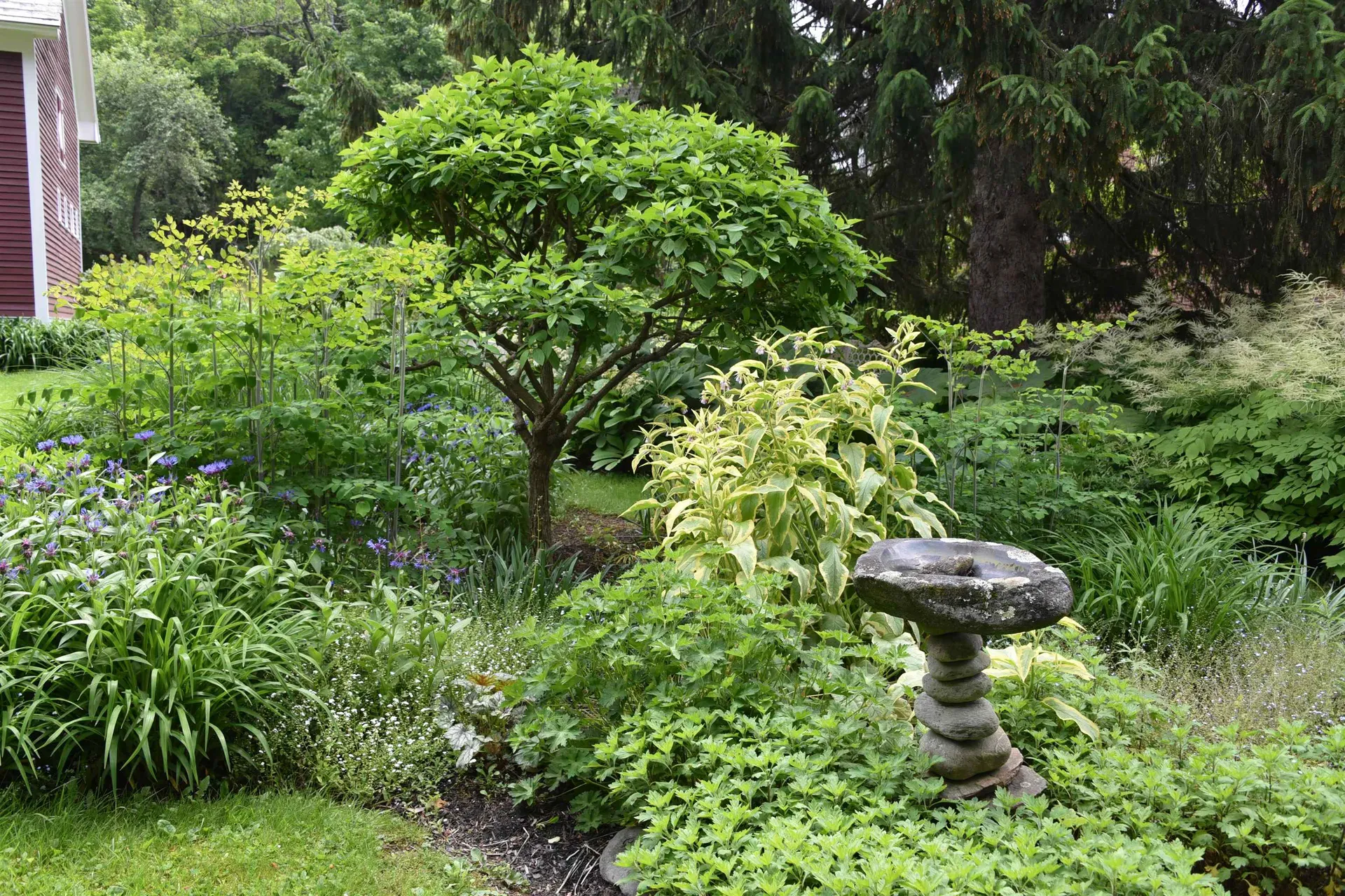 327 Browns Trace Jericho VT 05465