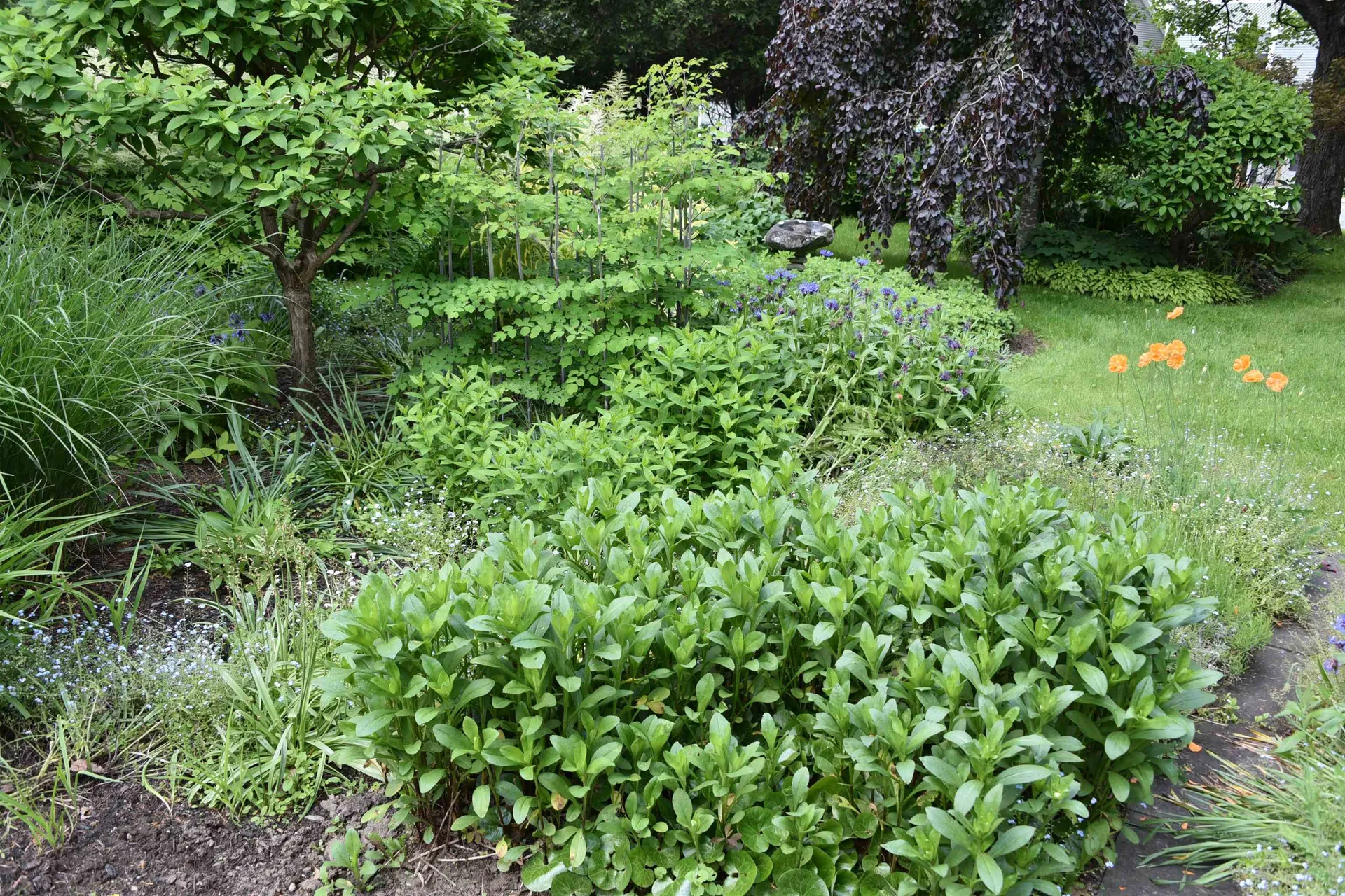 327 Browns Trace Jericho VT 05465