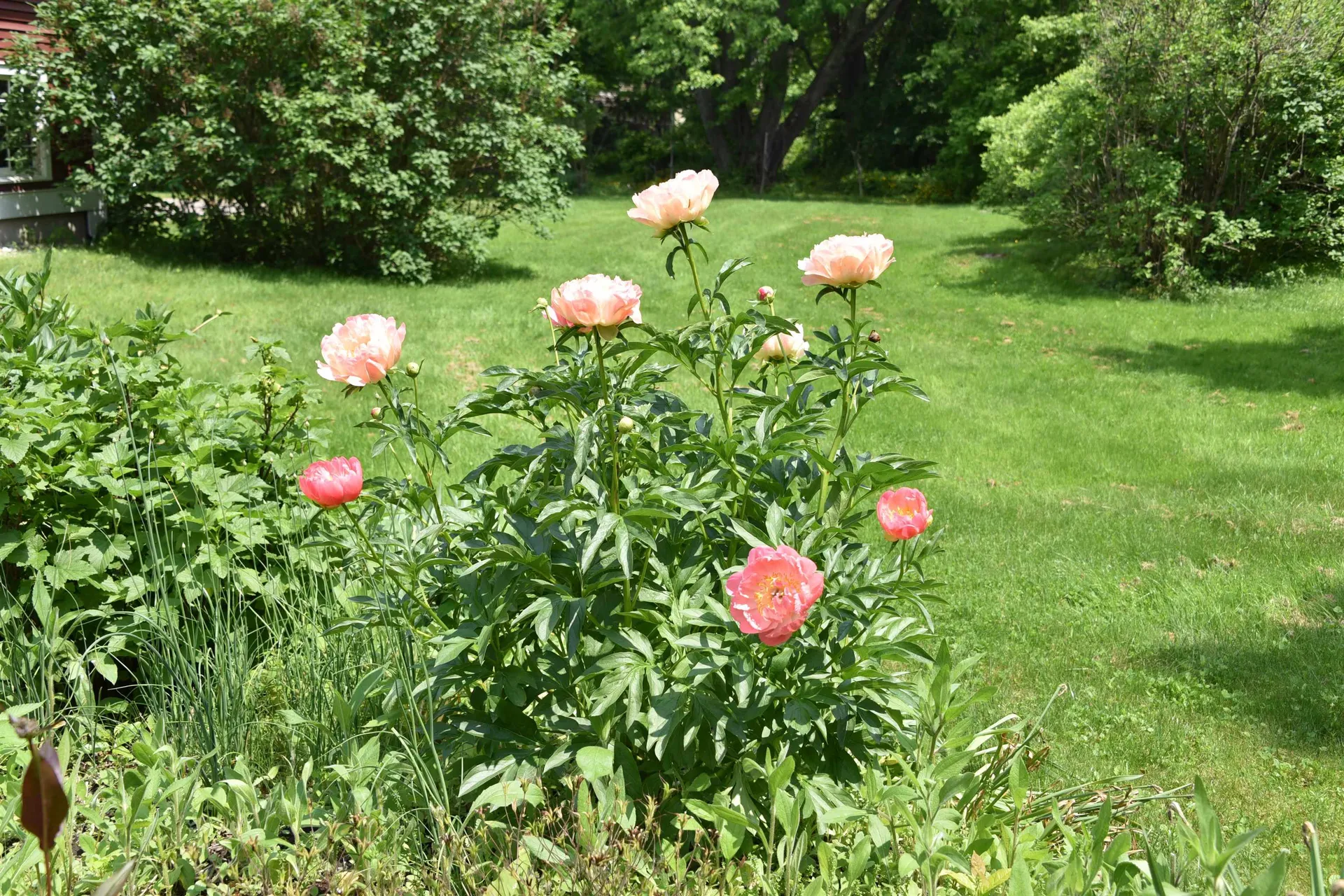 327 Browns Trace Jericho VT 05465