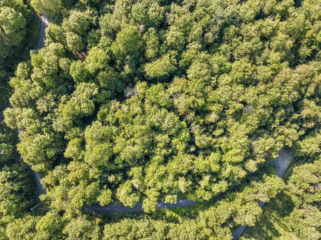 0 Woods Road Northfield VT 05663